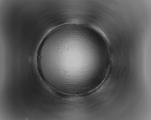 X0000093151091200710101131