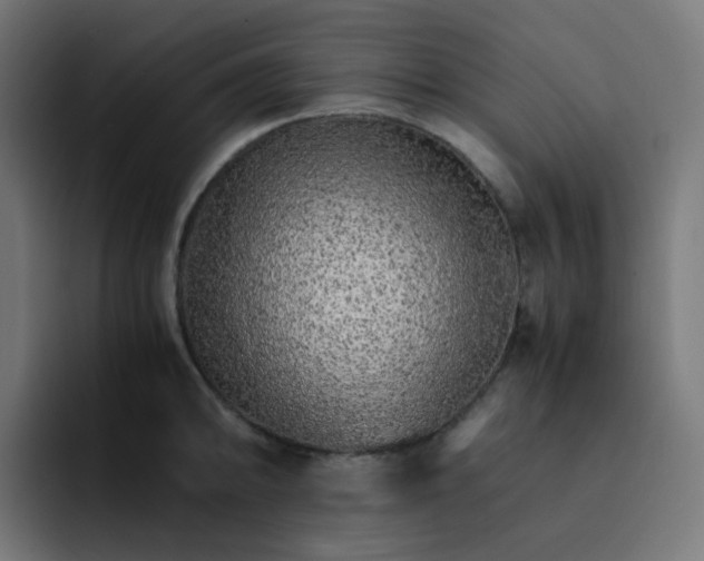 X0000093151094200710101131