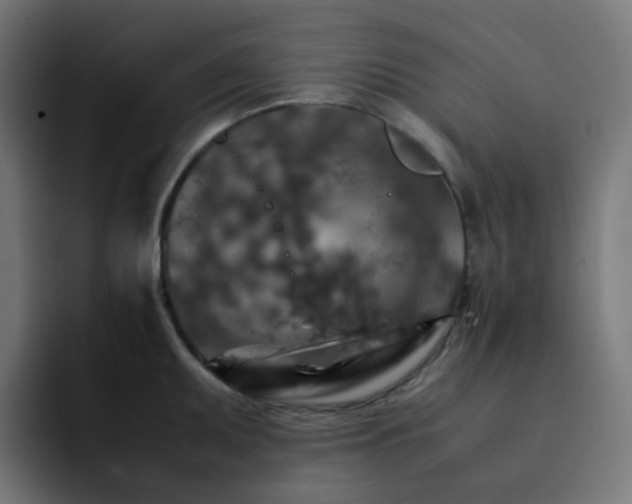X0000093151095200710101131