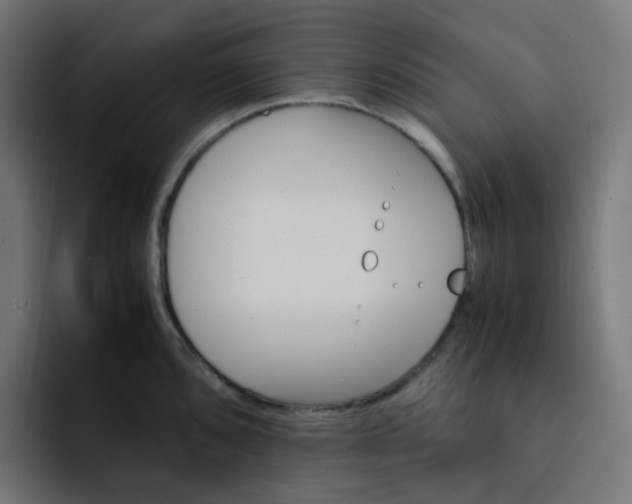 X0000093151096200710101131