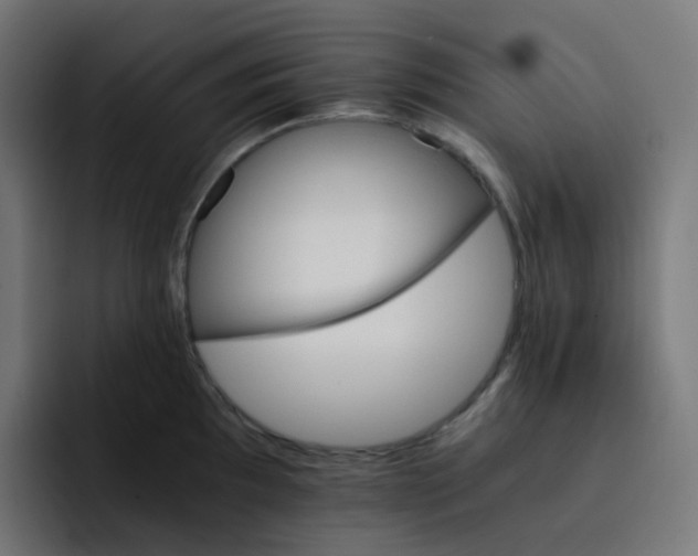 X0000093151097200710101131