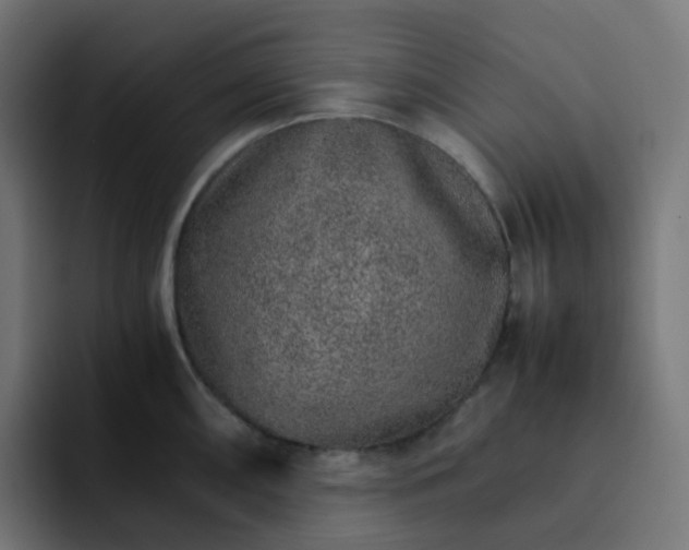 X0000093151098200710101131