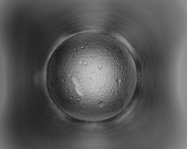 X0000093151099200710101131
