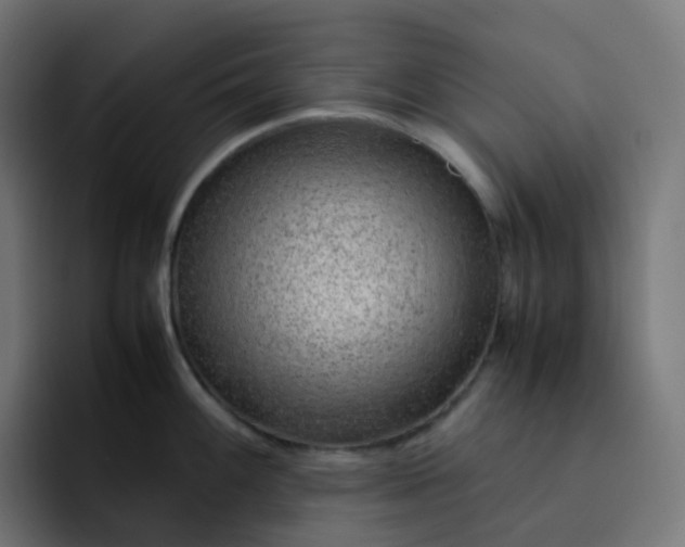 X0000093151100200710101131