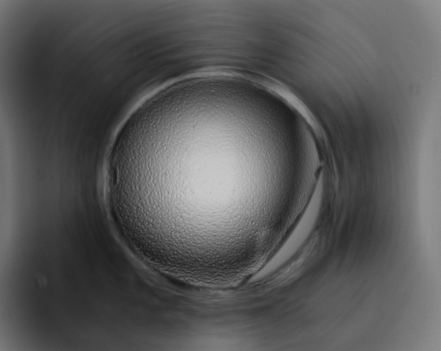 X0000093151101200710101131