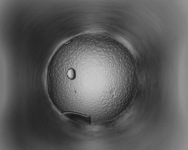 X0000093151103200710101131
