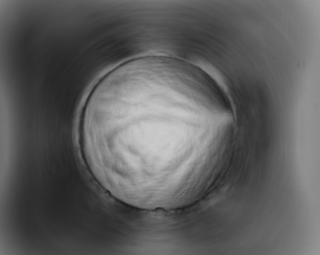 X0000093151104200710101131