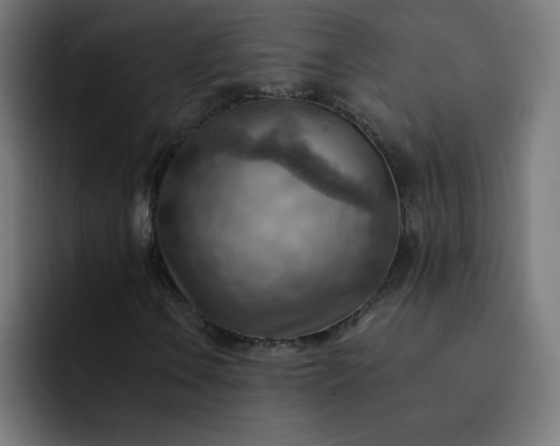 X0000093151106200710101130