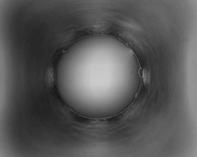X0000093151107200710101130