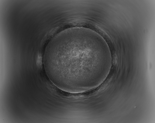 X0000093151108200710101130