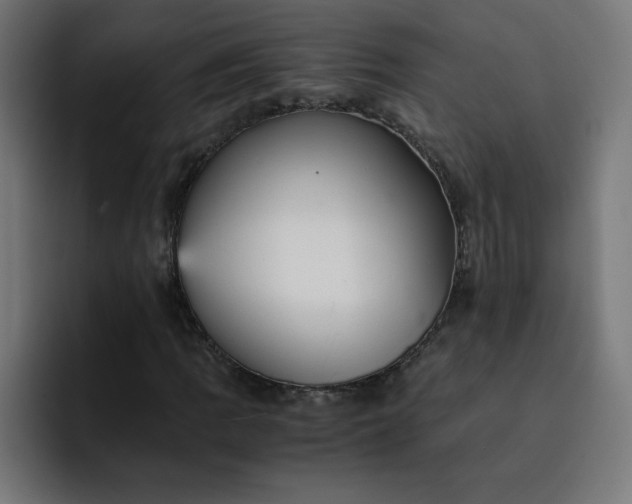 X0000093151109200710101130