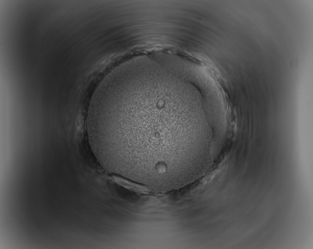 X0000093151110200710101130