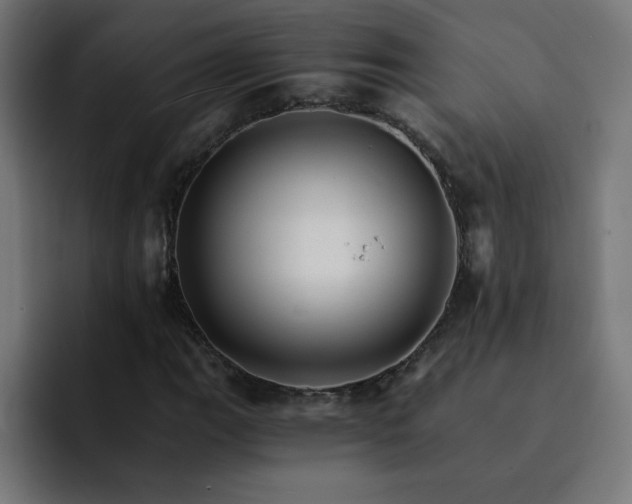 X0000093151111200710101130