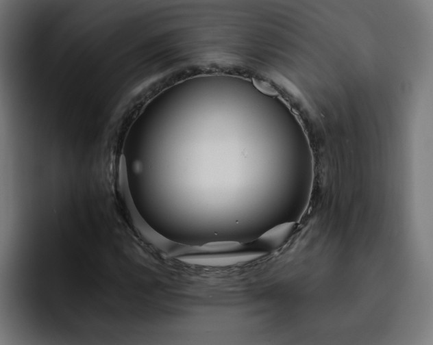 X0000093151112200710101130