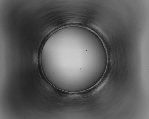 X0000093151113200710101130