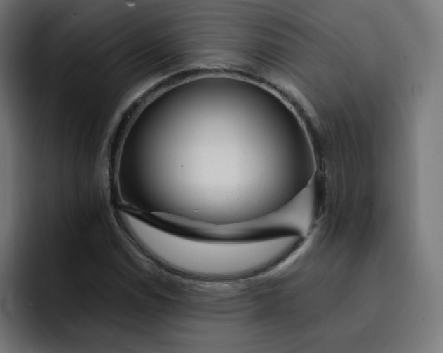 X0000093151114200710101130