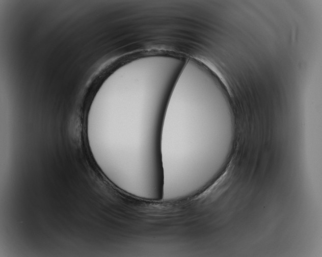 X0000093151115200710101130