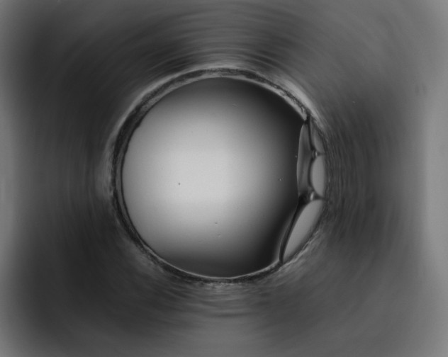X0000093151116200710101130