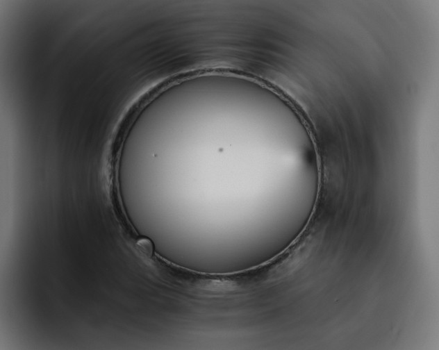 X0000093151119200710101130