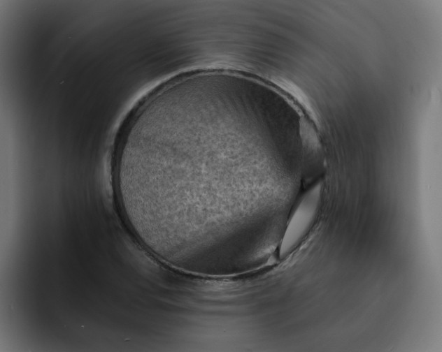 X0000093151120200710101130