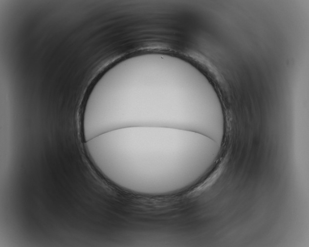 X0000093151121200710101130