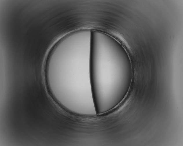 X0000093151122200710101130