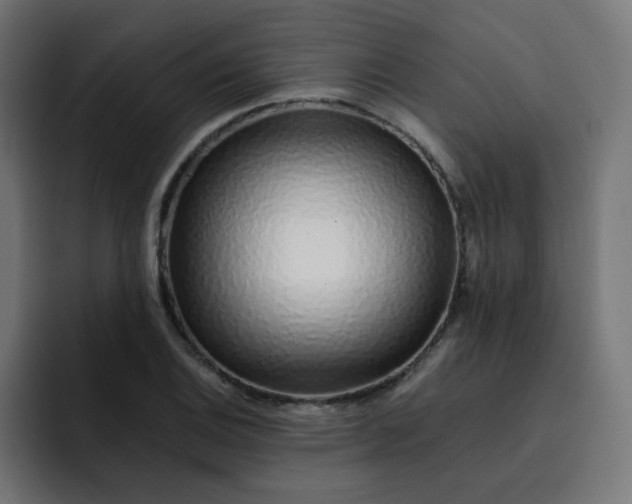 X0000093151124200710101130
