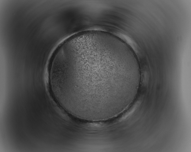 X0000093151125200710101130