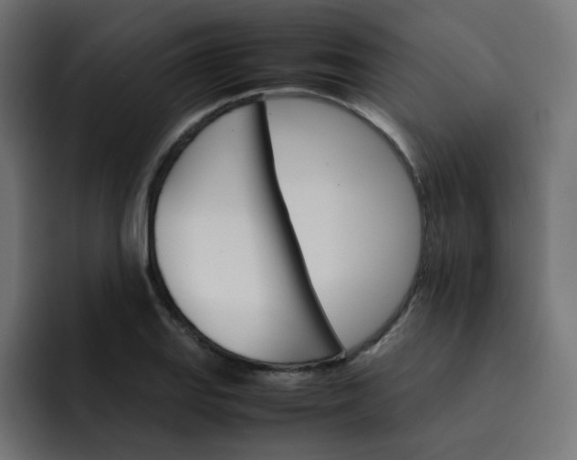 X0000093151127200710101130