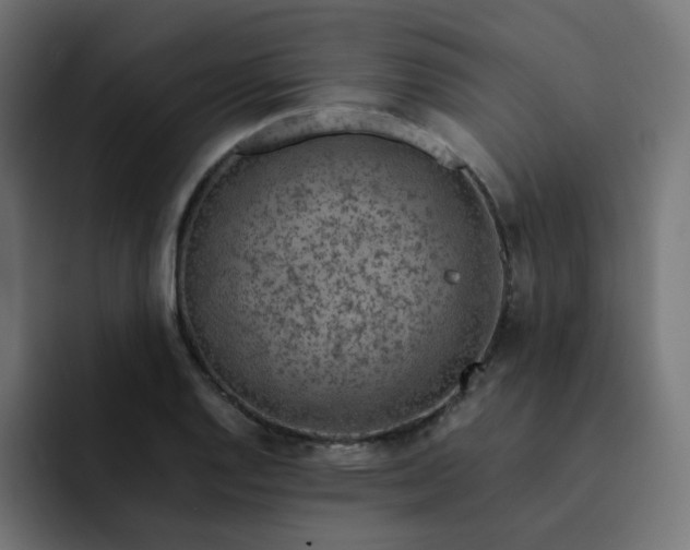 X0000093151128200710101130