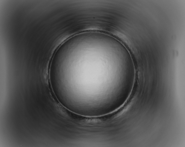 X0000093151129200710101130
