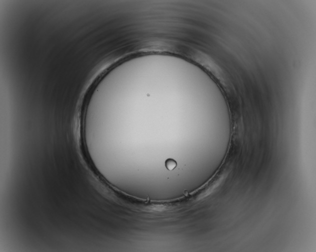 X0000093151130200710101130