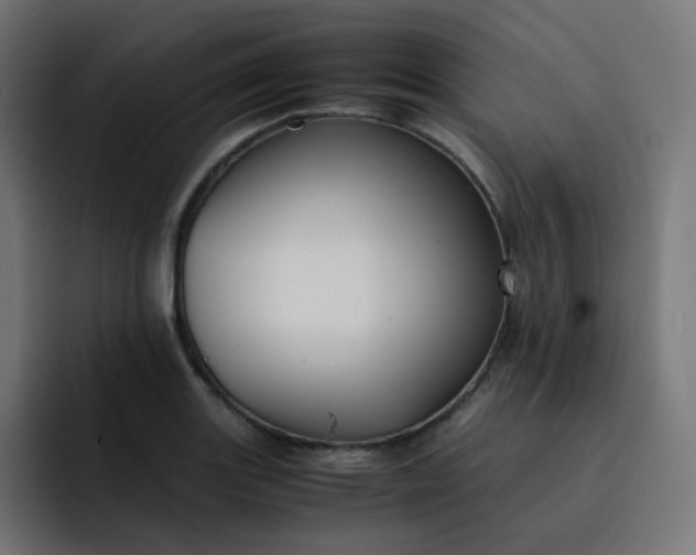 X0000093151131200710101130