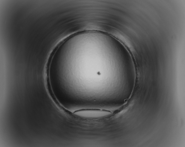 X0000093151133200710101131