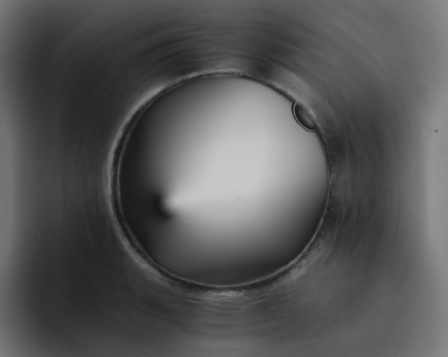 X0000093151135200710101131