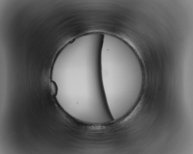 X0000093151137200710101131