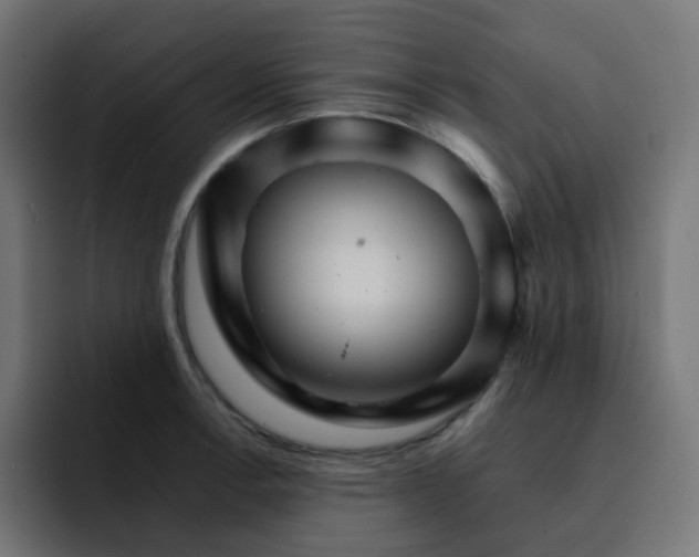 X0000093151138200710101131