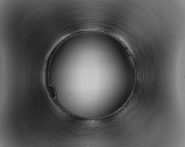 X0000093151139200710101131