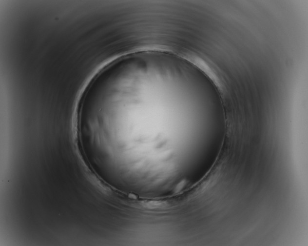 X0000093151140200710101131