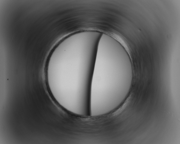 X0000093151141200710101131