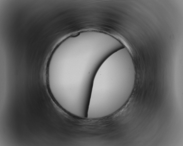 X0000093151143200710101131