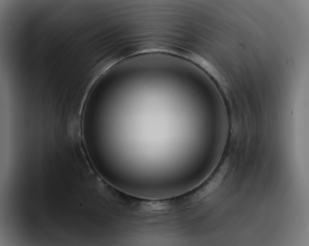 X0000093151145200710101131