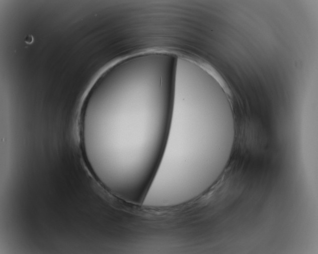 X0000093151148200710101131