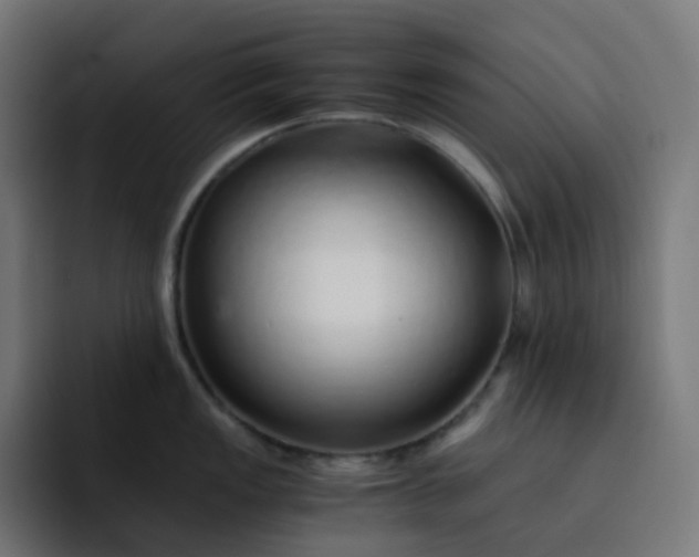 X0000093151149200710101131
