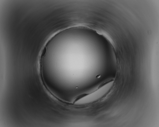 X0000093151151200710101131