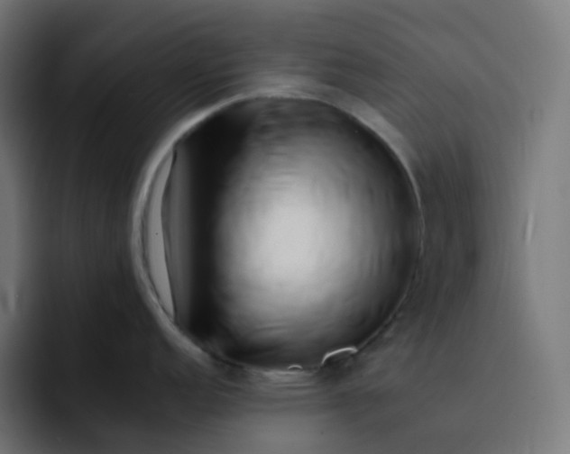 X0000093151152200710101131