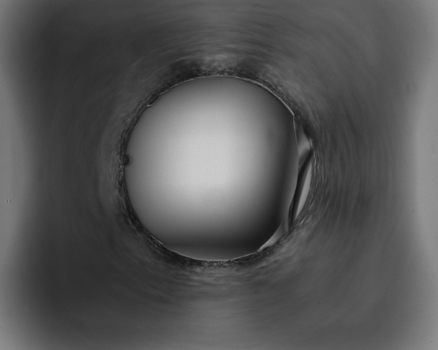 X0000093151153200710101130