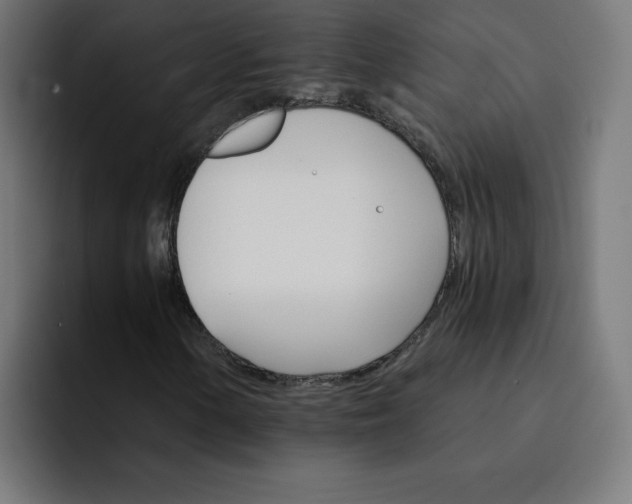 X0000093151154200710101130