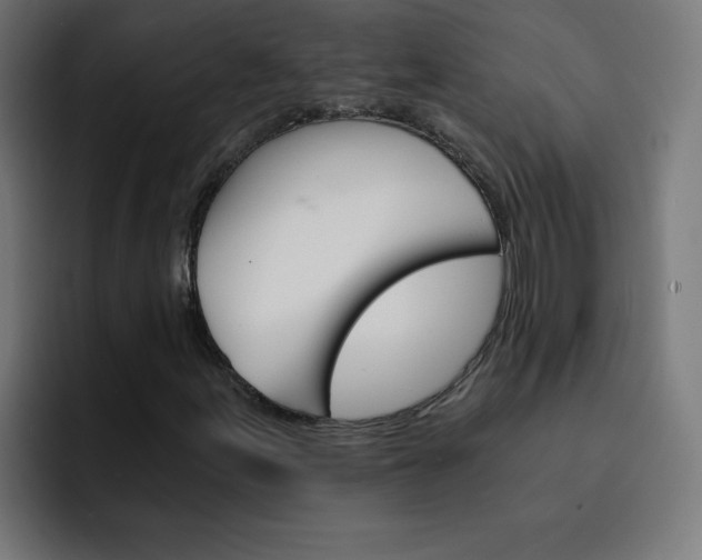 X0000093151155200710101130