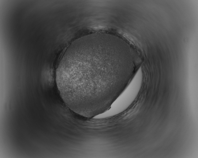 X0000093151156200710101130